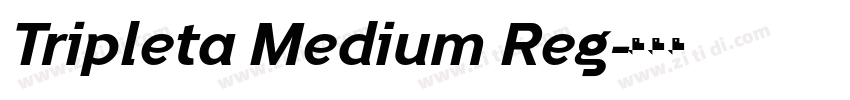 Tripleta Medium Reg字体转换 Tripleta Medium Reg字体转换